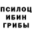 Псилоцибиновые грибы прущие грибы Arlanda Shah
