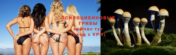 спиды Карпинск